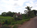 gal/03 - Kracheh/_thb_RIMG1998.jpg